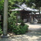 DSC00279.JPG