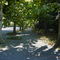 gyoen-016.jpg
