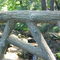 gyoen-021.jpg